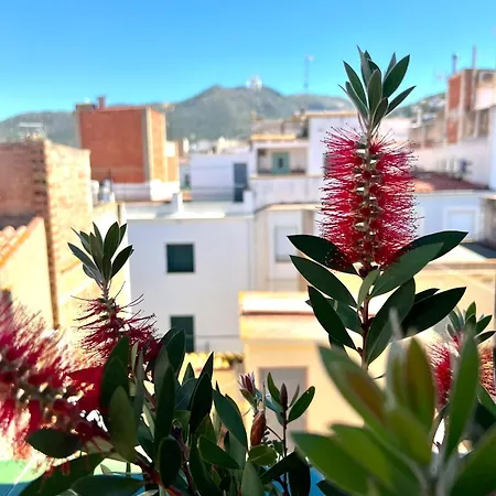 Πανσιόν Escondite Con Terraza Compartida En La Azotea